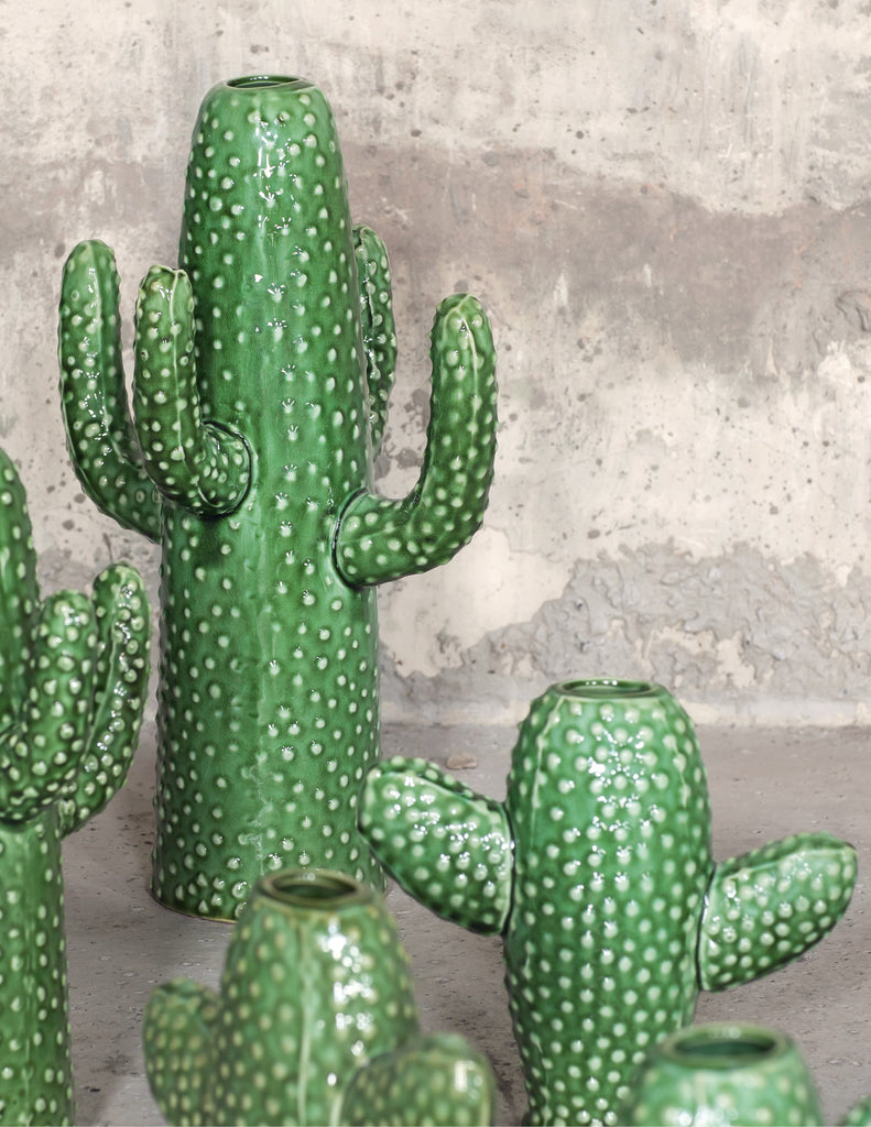 Trend Trajectories: The Cactus