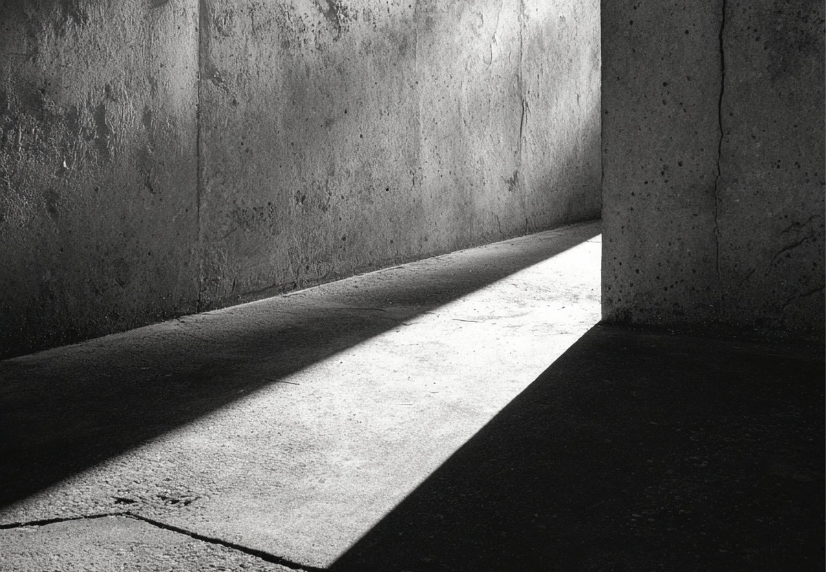 Out from the Shadows – Duha Group